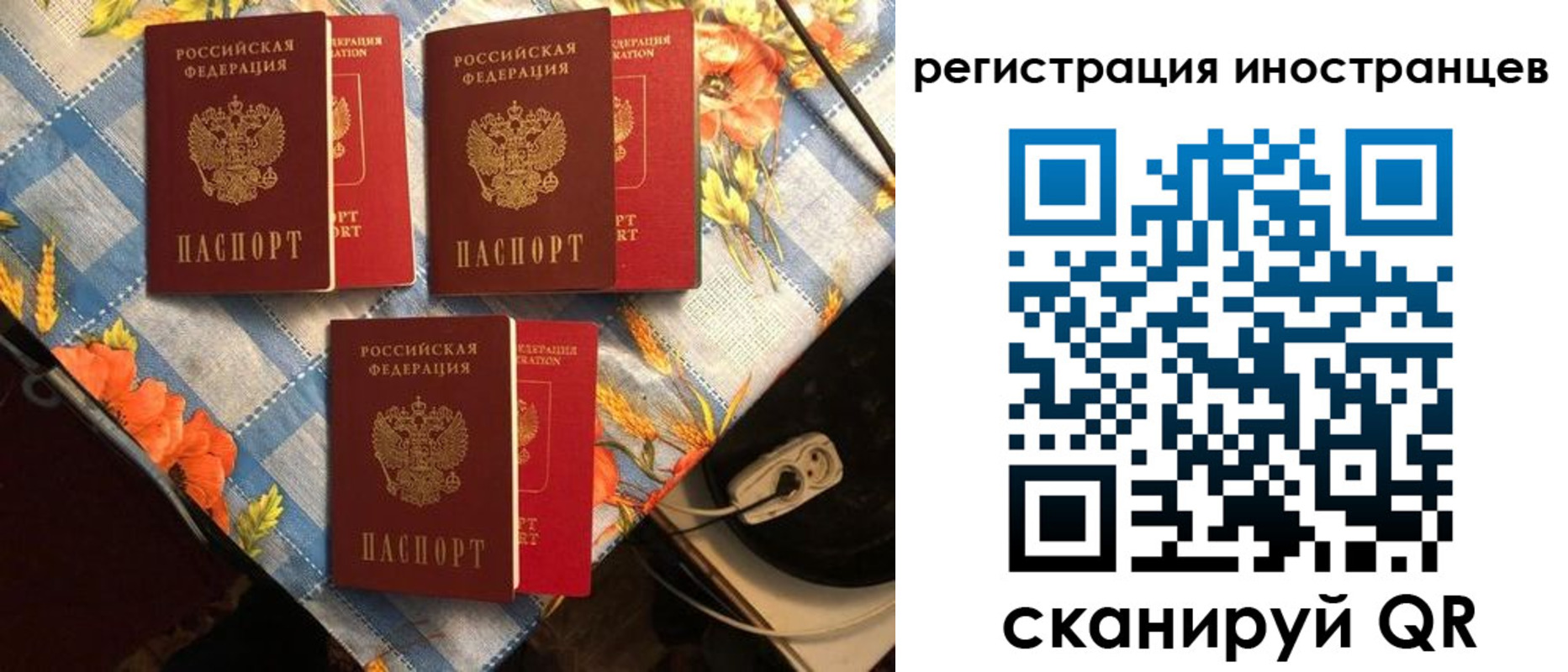 прописка поиск в Агрызе